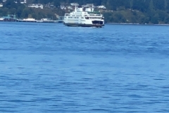 1CE8896F-1FAF-4A4A-BEFF-FFC79C57C018